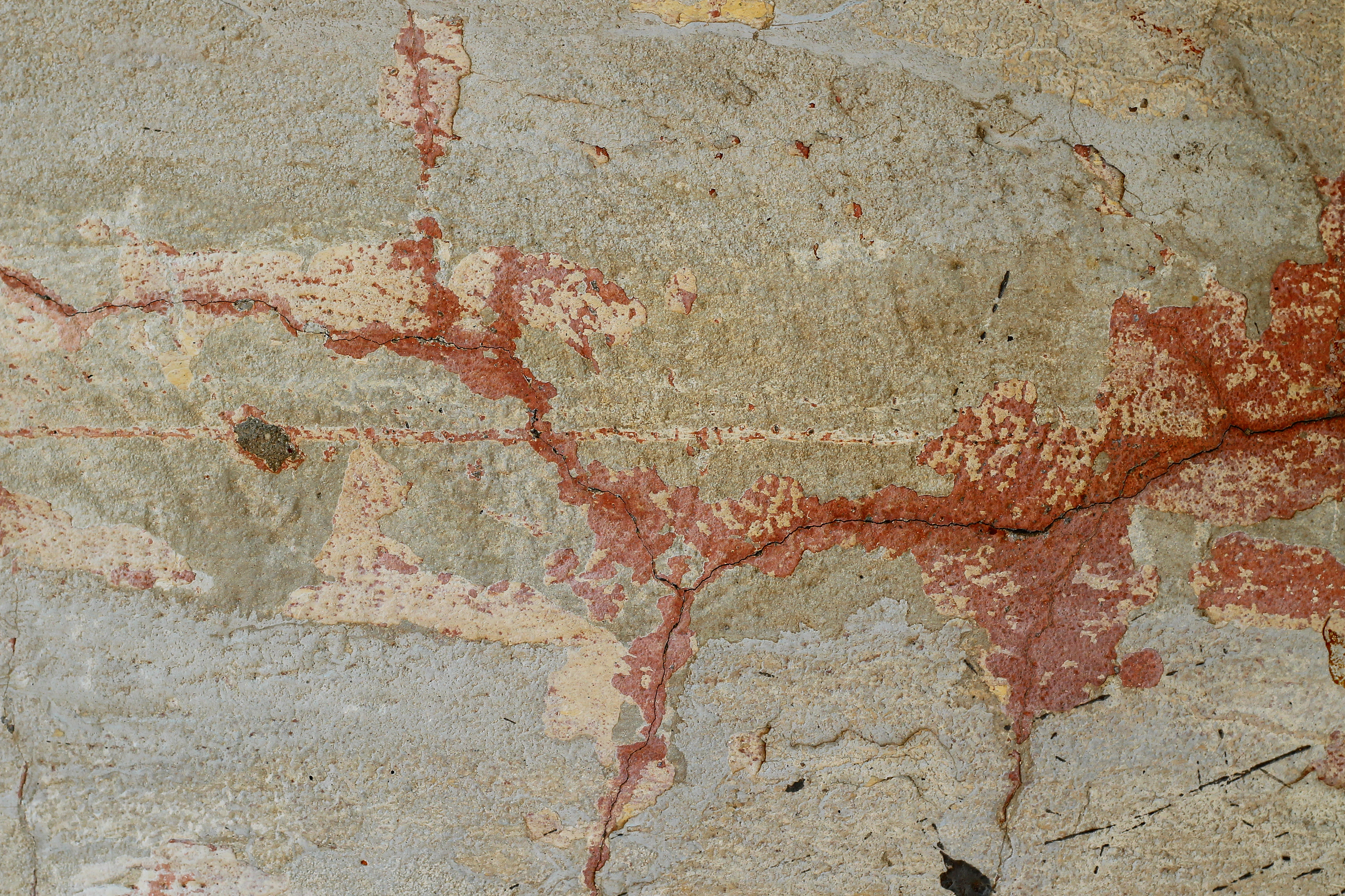 large-crack-in-concrete-slab-background-2026-01-11-09-22-42-utc